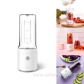 Pinlo Electric Blender Portable Juicer Fruit Mixer